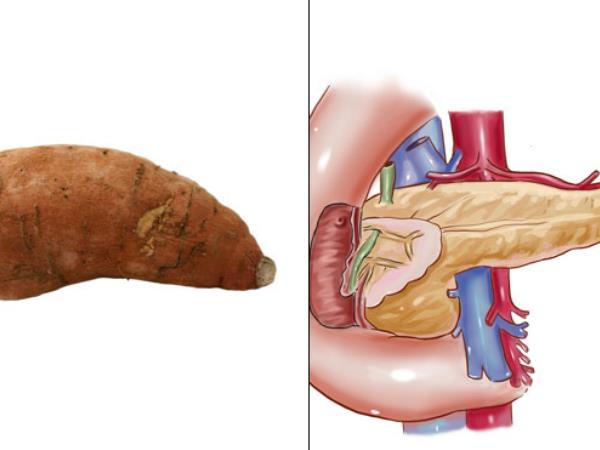 Ali podobnost res zdravi?